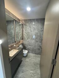 Leedon Green (D10), Condominium #517079281